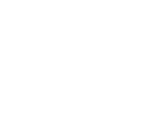 electric ireland logo