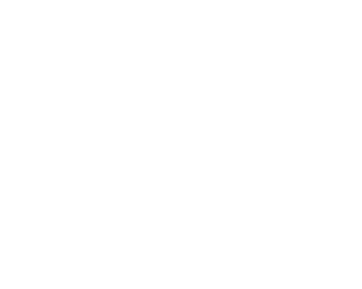 randox logo